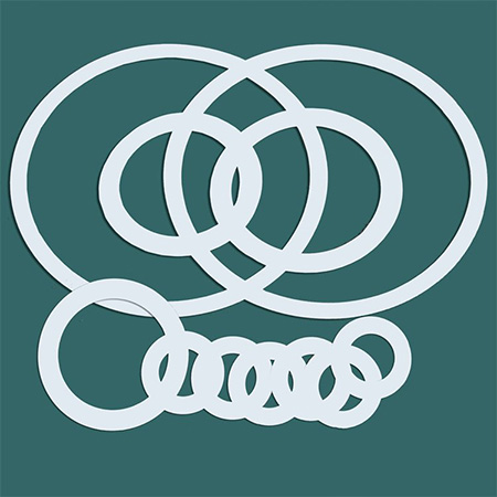 聚四氟乙烯O型圈