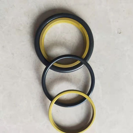 聚四氟乙烯氟橡膠密封圈